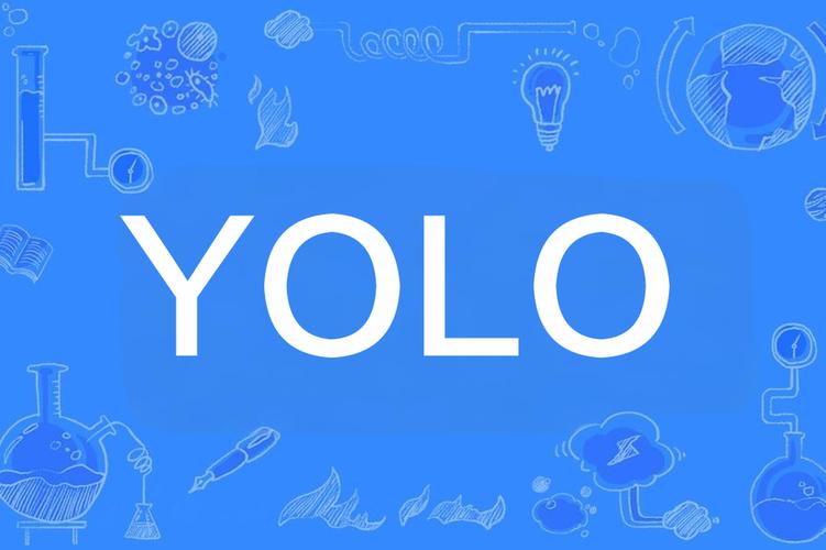 YOLO11 训练实战、指标解读与通用模型训练指南